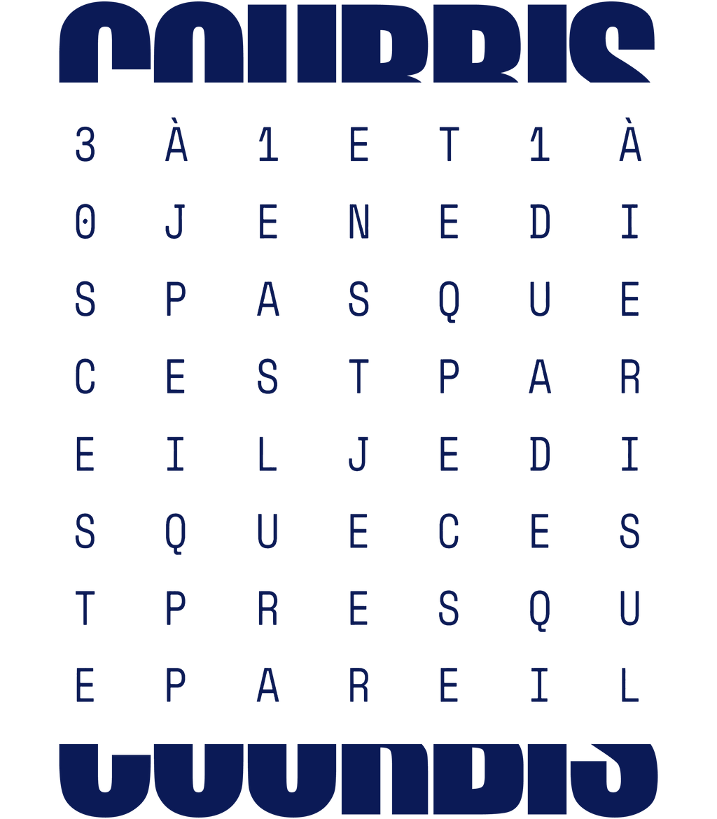 Tee Shirt Presque Pareil - Coach Courbis