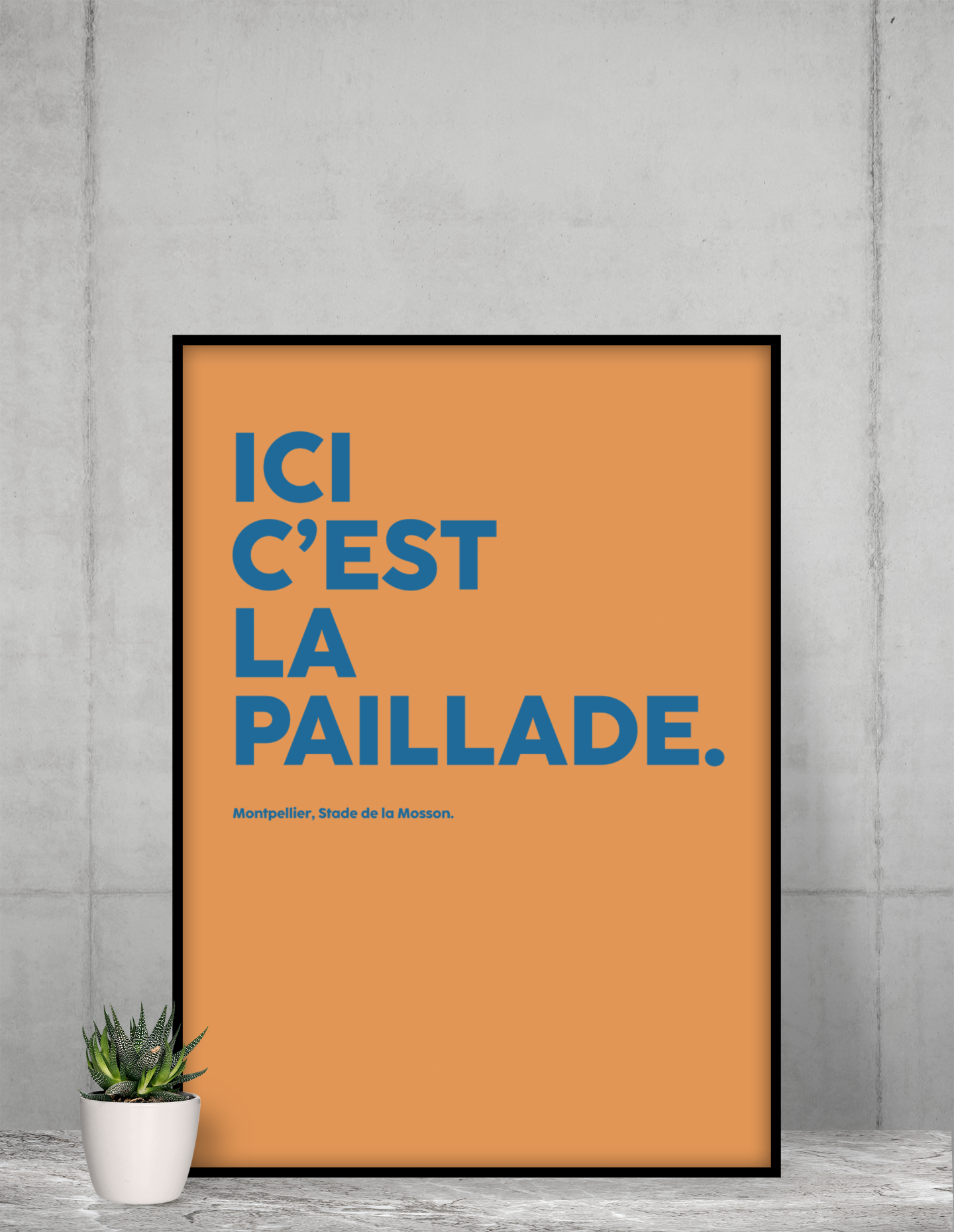 Poster Ici c'est la paillade