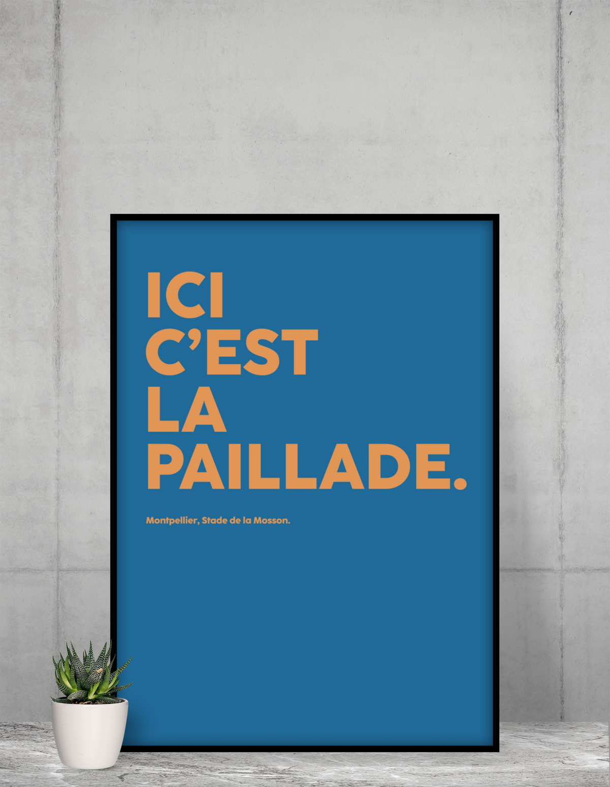 Poster Ici c'est la paillade